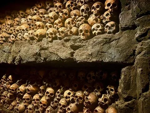 Skulls Stock Photos
