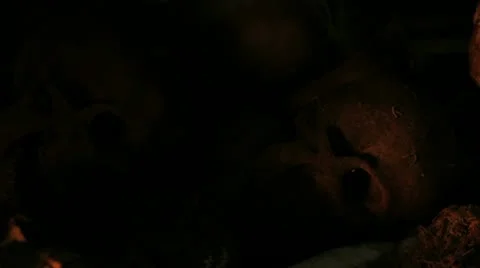 Skulls revealed from the shadow 動画素材 12030140