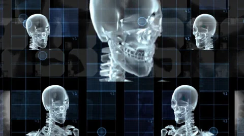 Skulls Spin HD Stock Footage 27520215