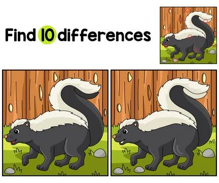 Skunk Animal Find The Differences Stock Illustration