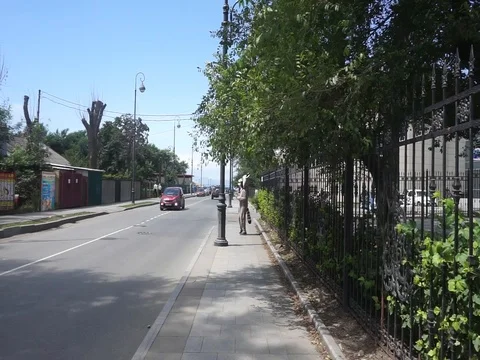 Skunk Flavored Vídeo Stock 81319413