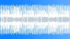 Skunk Funk 3:34 secStock Music
