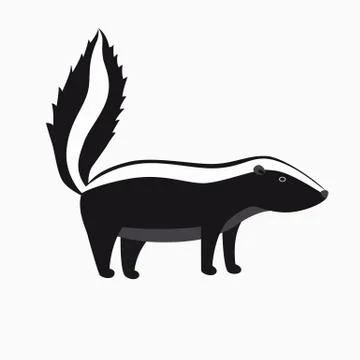 Skunk Stock Illustration
