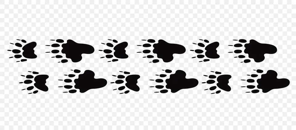 Skunk paws Stock Illustration