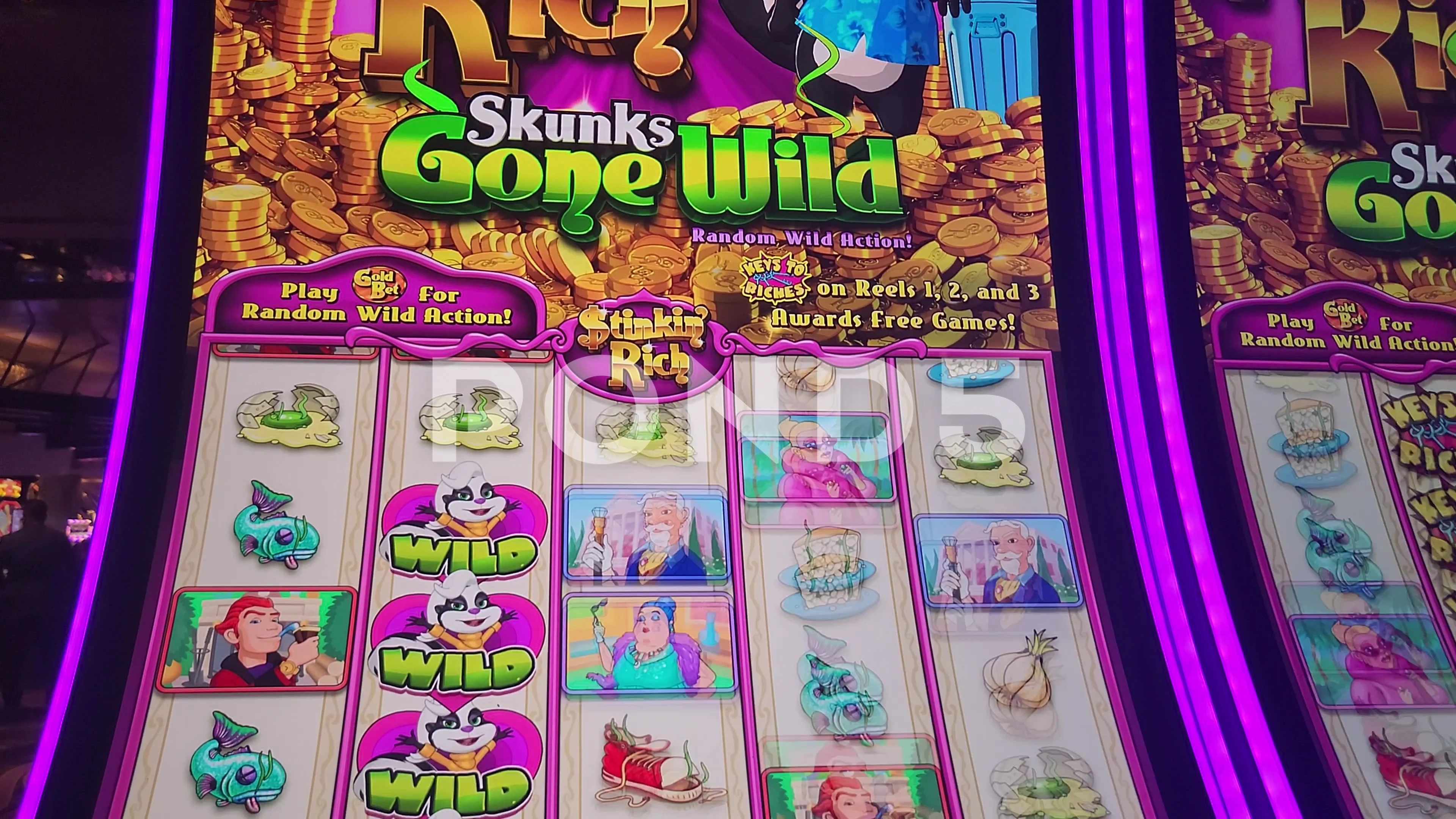 skunks gone wild slot