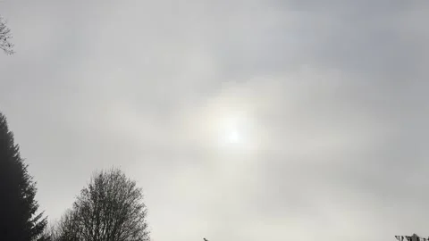 Sky 1 Stock Footage 291293226