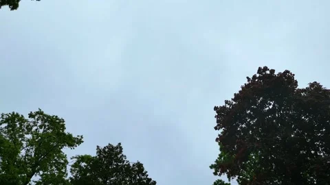 Sky Above Stock Footage 335852962