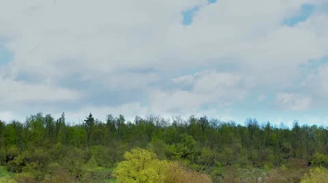 Sky above the wild forest time lapse Video stock 62317102