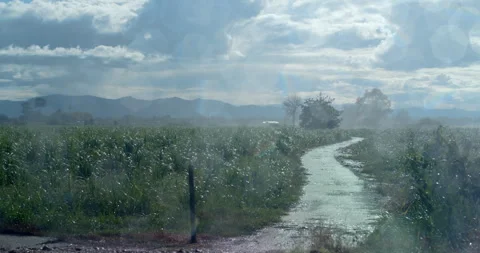 The sky after rain has many clouds.It's raining and the sun is shining. Stock Footage 310912187