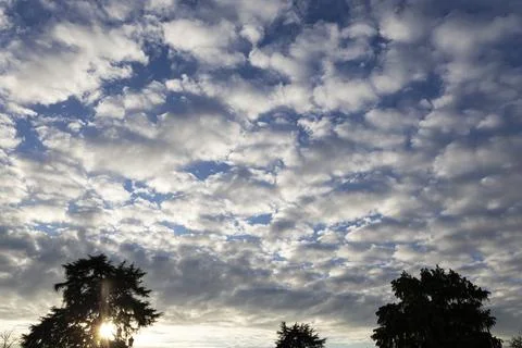 Sky with altocumulus clouds and sun behind silhouetted tree Stock Photos