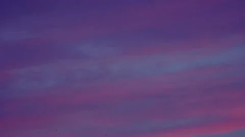 Sky and birds Stock Footage 39961352