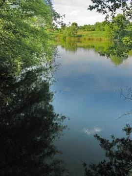 The sky and branches of trees reflected in the mirror surface of the pond wat Stock Photos