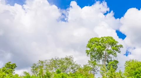 Sky and cloud over trees Video stock 64872536
