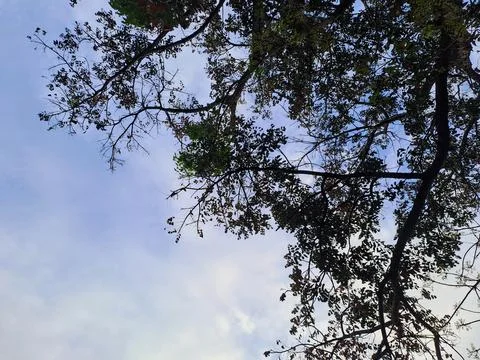 Sky and cloud Stock Photos