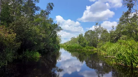 Sky and Cloud Reflection on a River, Tanjung Puting National Park, Borneo, Stock Footage 346430973