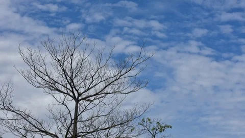 Sky and cloud in time lapse Stock Footage 90283471
