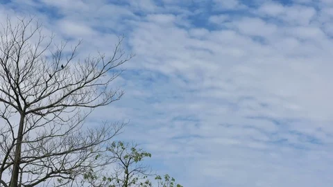 Sky and cloud in time lapse Stock Footage 90283486