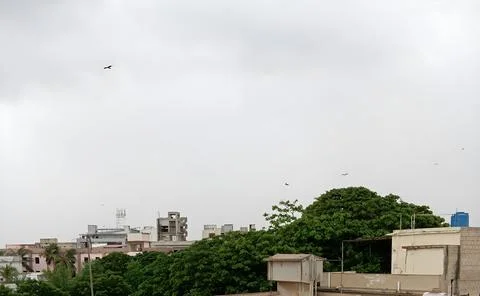 Sky and cloud trees and buildings in city Stock Photos