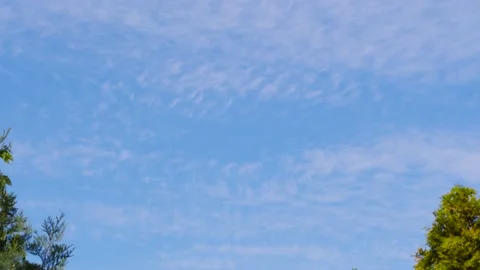 Sky and clouds and tree branches moving Stock Footage 135734742