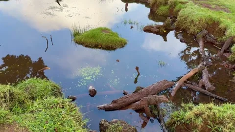 The sky and clouds are colorfully reflected in a small puddle. Portugal. Stock Footage 295114602