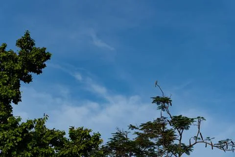 Sky and clouds Stock Photos