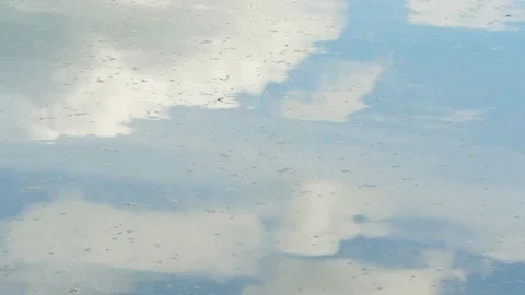 Sky And Clouds Reflected In Pond Video stock 77534921