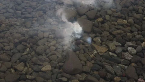 Sky and clouds reflected in water Video stock 171806217