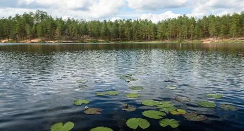 Sky and clouds reflecting in forest lake Stock Photos