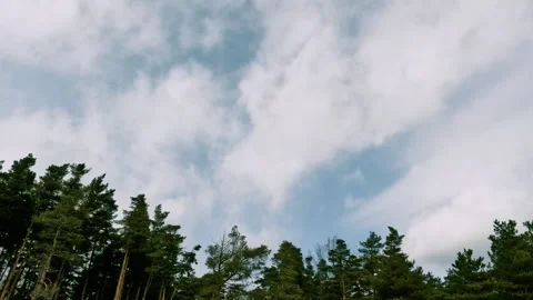 Sky and clouds time lapse at the forest Stock Footage 242797550