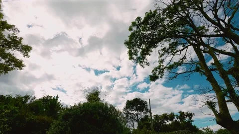 Sky and clouds timelapse over tree Vidéo 146301525