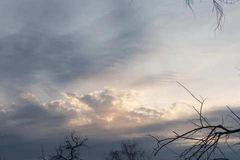 Sky and clouds tree branches Stock Photos