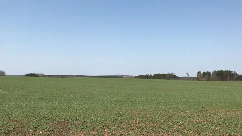 Sky and Field Background Stock Footage 152581091