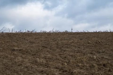 The sky and the fields Photos