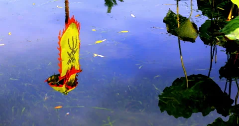 The sky and flags reflected on the water's surface. Stock Footage 331498411