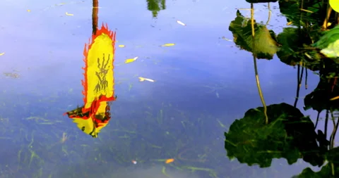 The sky and flags reflected on the water's surface. Stock Footage 331498440