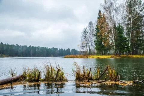The sky and the forest are reflected in the river. Stock Photos