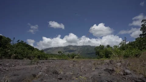Sky and forest with clear sky blown wind timelapse in Bali, Indonesia Stock Footage 255812192