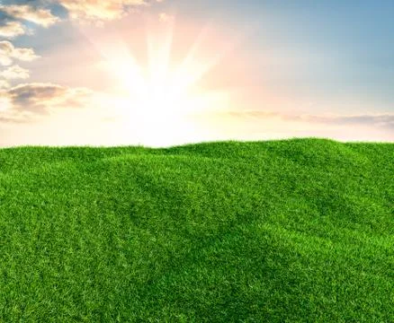 Sky and grass background, fresh green fields Illustrazione stock