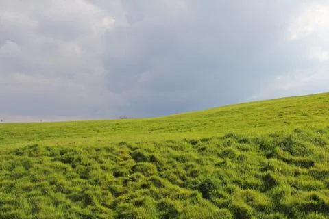 Sky and grass background Stock-Fotos