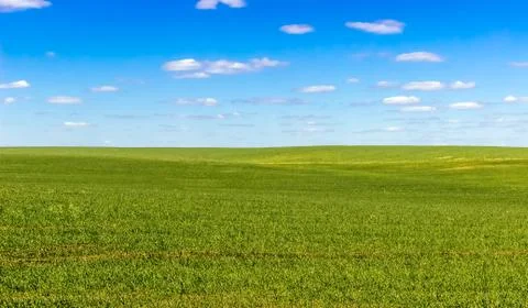 Sky and grass (ground), background Stock Photos