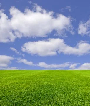 Sky and grass Stock Photos