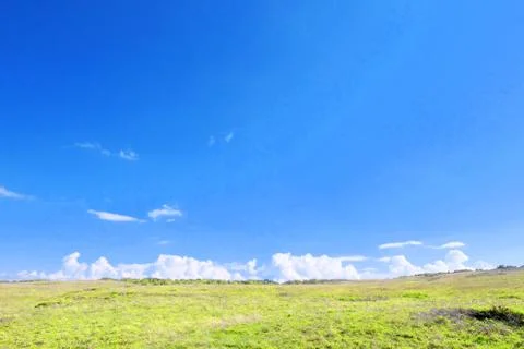 Sky and grass Stock Photos