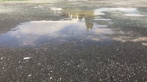 Sky and House Reflection inside a Wand in a Field Video stock 100679336