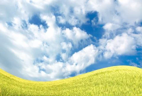 Sky and meadows Illustrazione stock