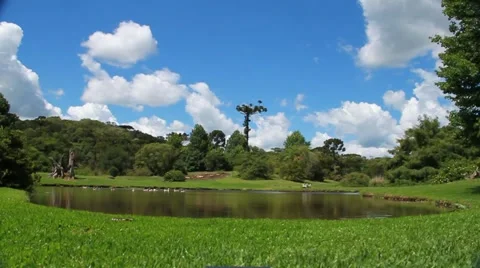 Sky and nature 動画素材 46090240