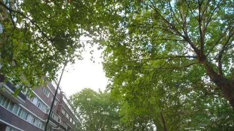Sky and Rain Clouds over Luton and London Cities of England UK Stock Footage 318799237