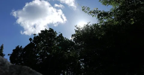 Sky and sun Stock Footage 77027194