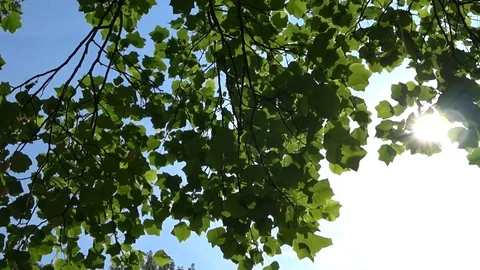 Sky and Sun Stock Footage 91607173