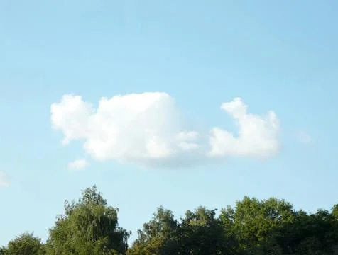 Sky and tree at day Stock Photos