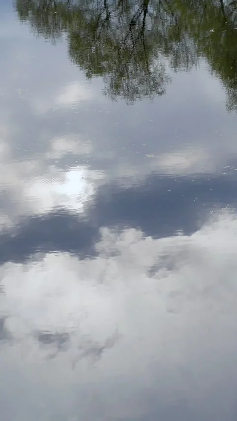 Sky And Tree Reflection On Water In Vertical Format Stock Footage 340234532